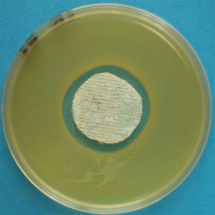 EN ISO 20645 Agar diffusion test with bacteria (Staphylococcus aureus)