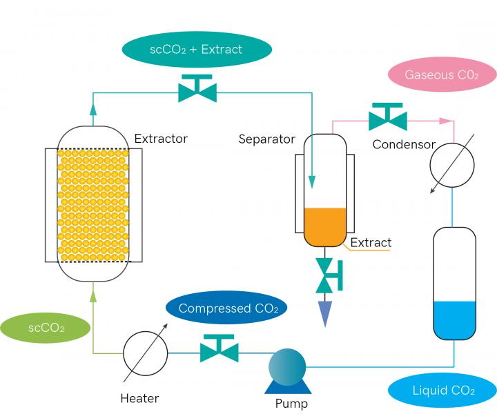 scCO2 extraction graphic