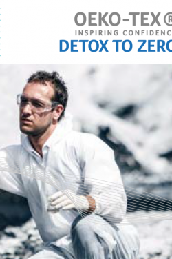 Detox to Zero cover